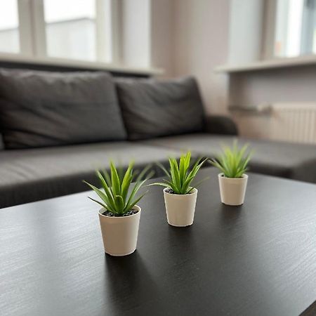 Akmene Center Apartment Naujoji Akmene Eksteriør bilde